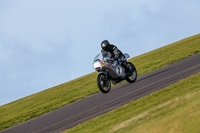 PJ-Motorsport-2019;anglesey-no-limits-trackday;anglesey-photographs;anglesey-trackday-photographs;enduro-digital-images;event-digital-images;eventdigitalimages;no-limits-trackdays;peter-wileman-photography;racing-digital-images;trac-mon;trackday-digital-images;trackday-photos;ty-croes